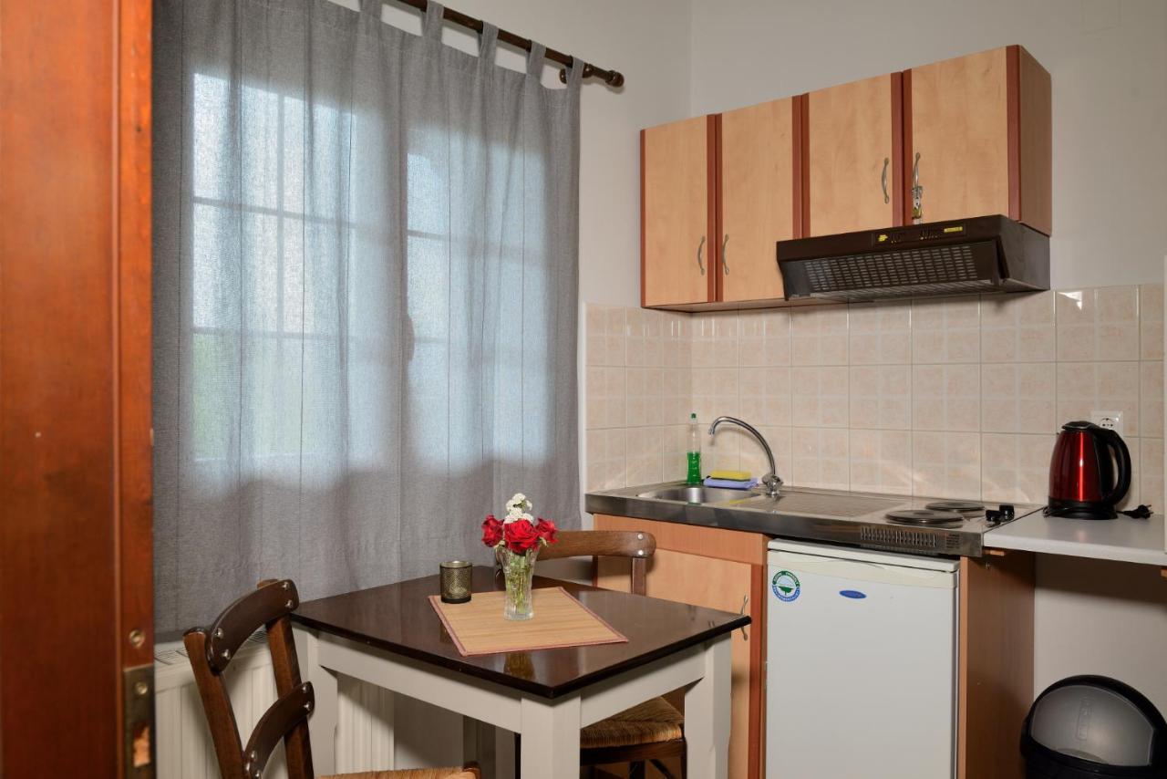 Artemis Apartments Konitsa Esterno foto