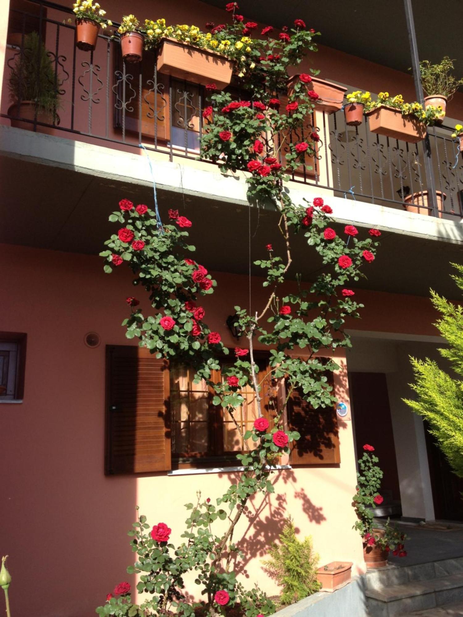 Artemis Apartments Konitsa Esterno foto
