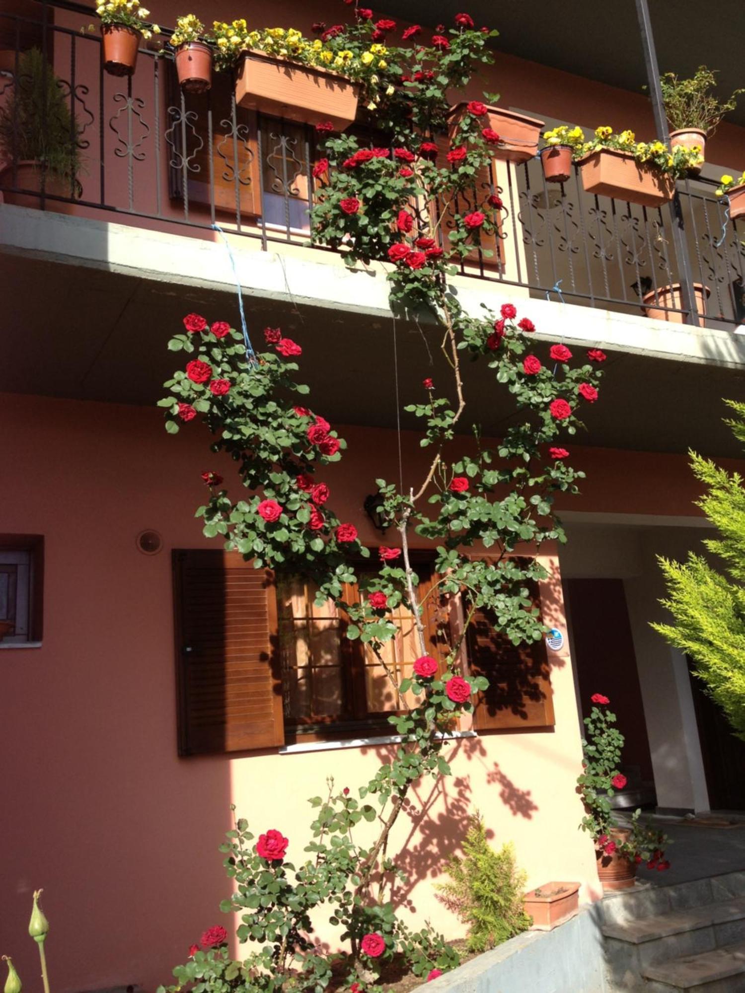 Artemis Apartments Konitsa Esterno foto