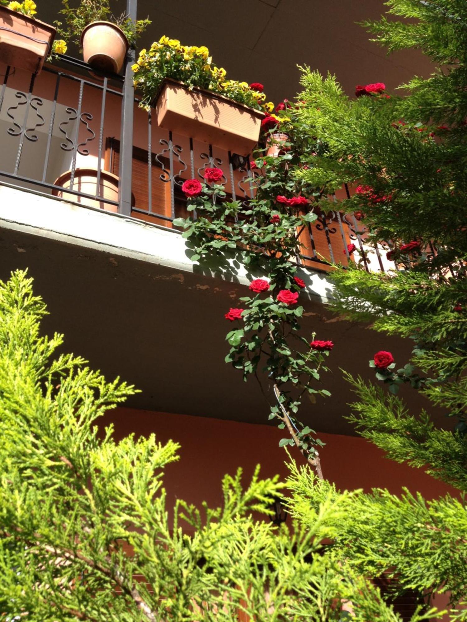 Artemis Apartments Konitsa Esterno foto