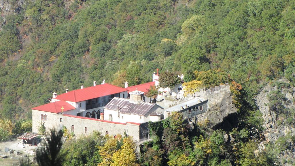 Artemis Apartments Konitsa Esterno foto
